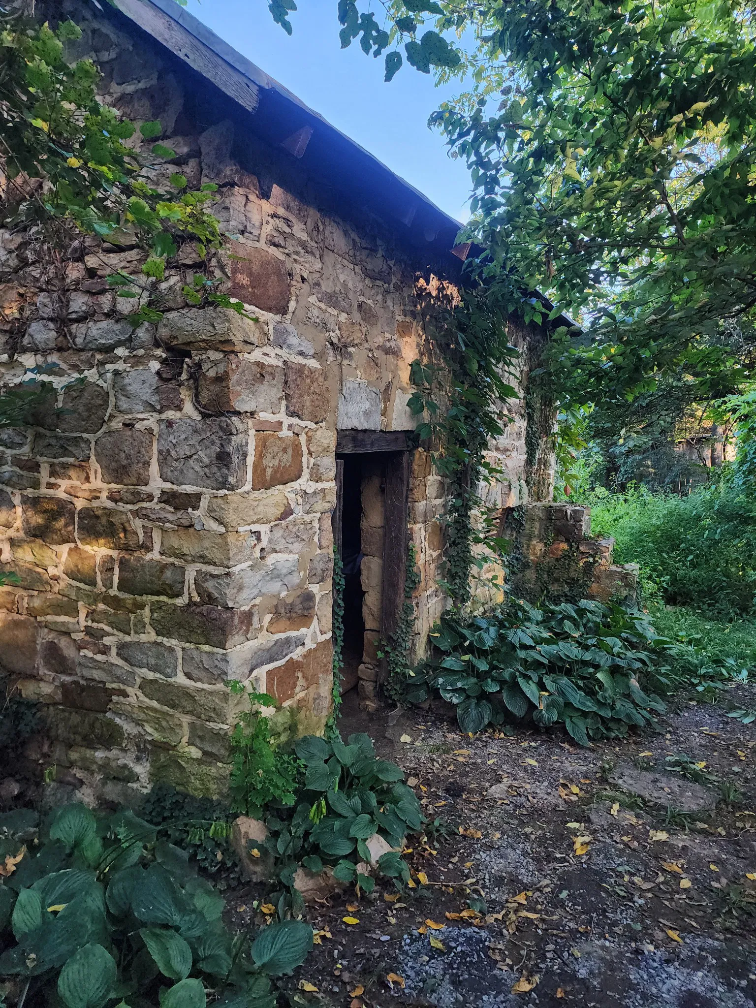 Stonemasonry Pointing Party